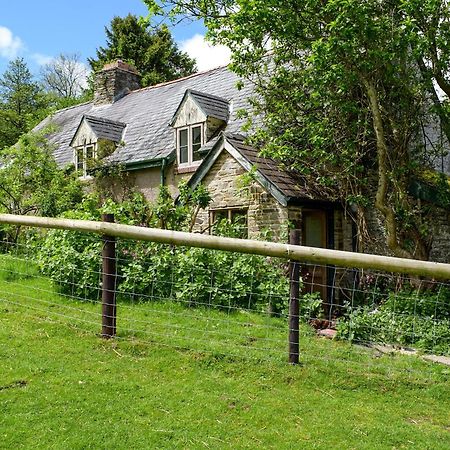 Lower Goytre Farmhouse Llanfair Waterdine Exterior foto